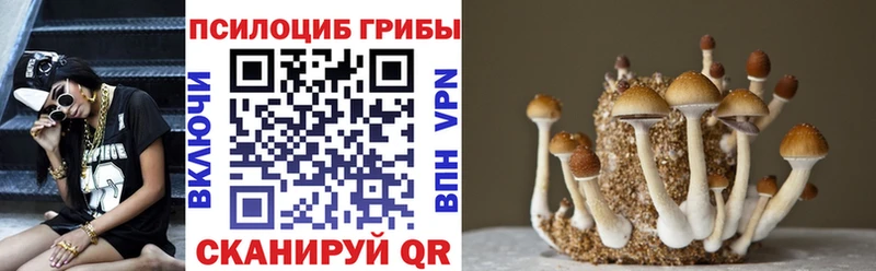 Галлюциногенные грибы Psilocybine cubensis  наркота  Рыбинск 